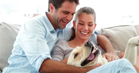 A Brief History of Consumer Finance – The National Installment Lenders.